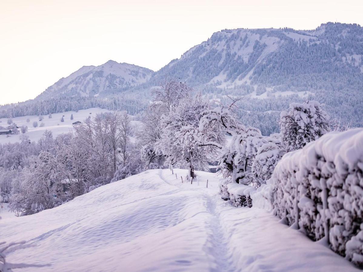 Ninis - Ferienhaus Im Bregenzerwald Villa Egg Kültér fotó